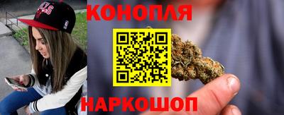 прущие грибы Нальчик