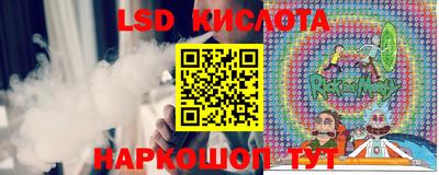 прущие грибы Нальчик