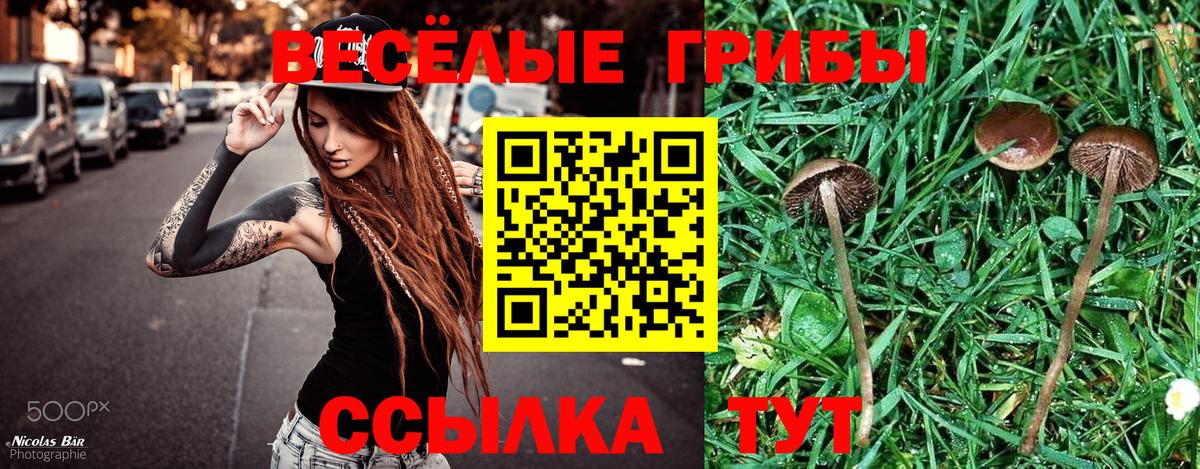 Псилоцибиновые грибы прущие грибы  Вход с VPN  Тула  Галлюциногенные грибы GOLDEN TEACHER 